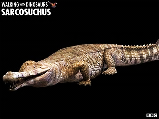 Sarcosuchus-Imperator.png