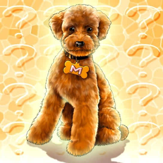 Dog Marron Yu Gi Oh Wikia