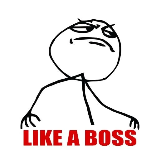 Like_a_boss_meme.jpg