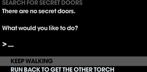 Dragons and Tears Search For Secret Doors