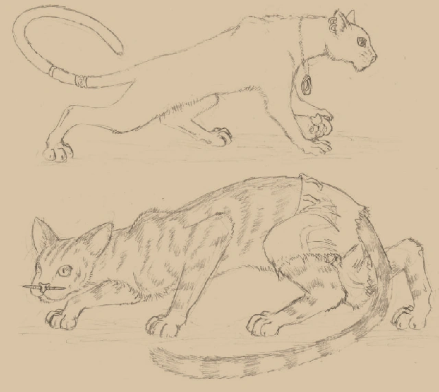 ���������� � ����� ��� ������� - ������ ����� ����