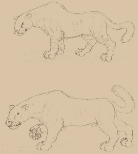 ���������� � ����� ��� ������� - ������ ����� ����