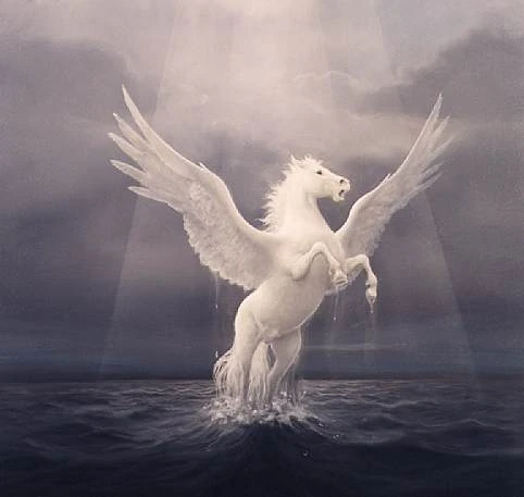 Pegaso Wiki Mitología Wiki dedicada a la Mitología