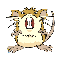Raticate_%28anime_SO%29_2.png
