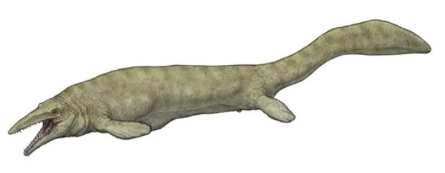 Imagen Hainosaurus.jpg Wiki ACAM