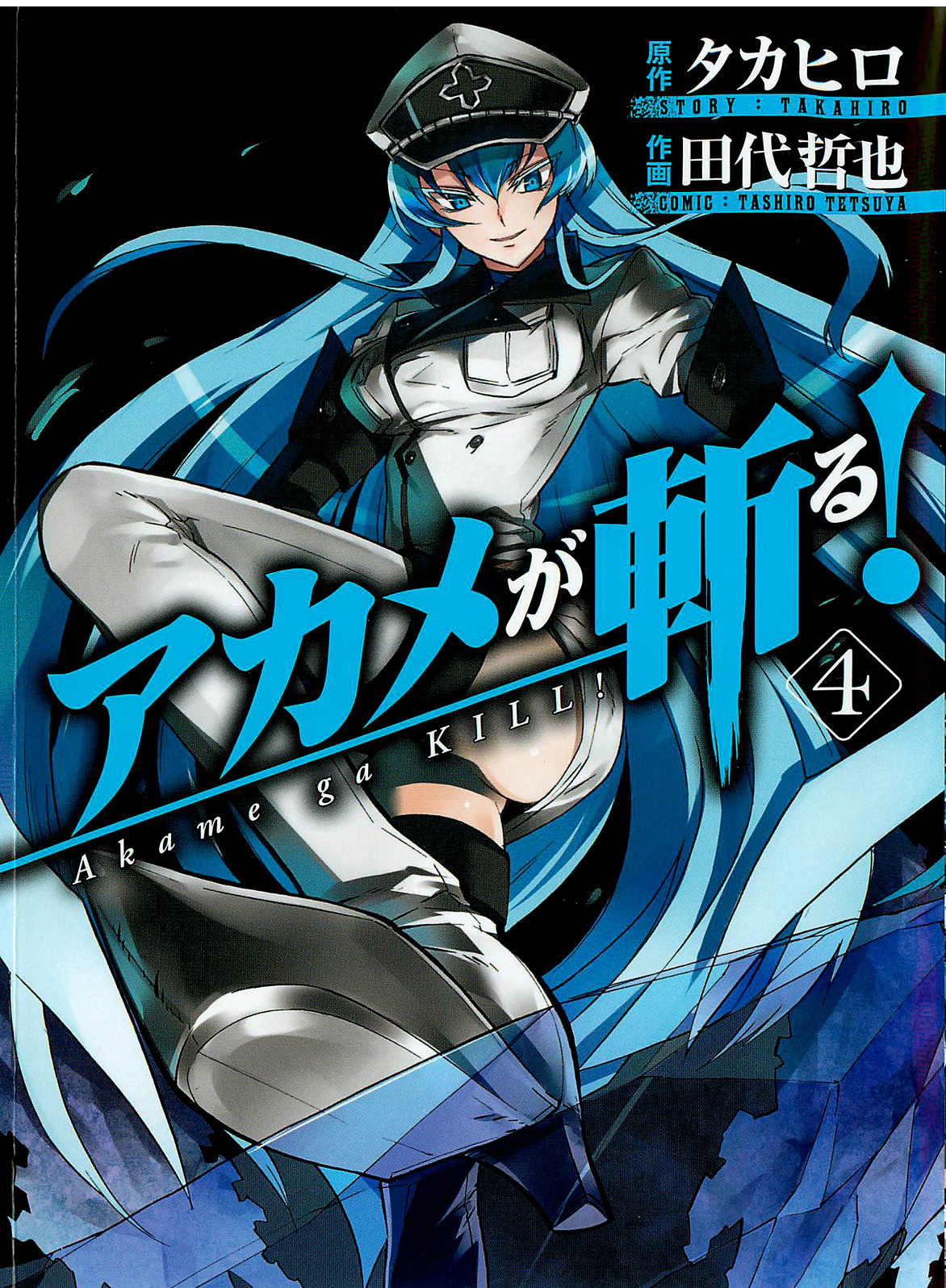 Akame Ga Kill Manga Akame Ga Kill Wiki Wikia