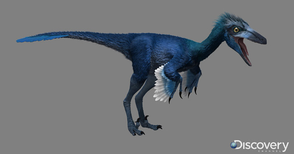 troodon size