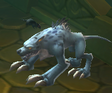 Jackalbeast Pet