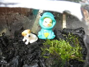 Garden 058