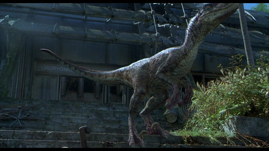 male raptor jurassic park 3