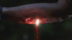 SPN 0138