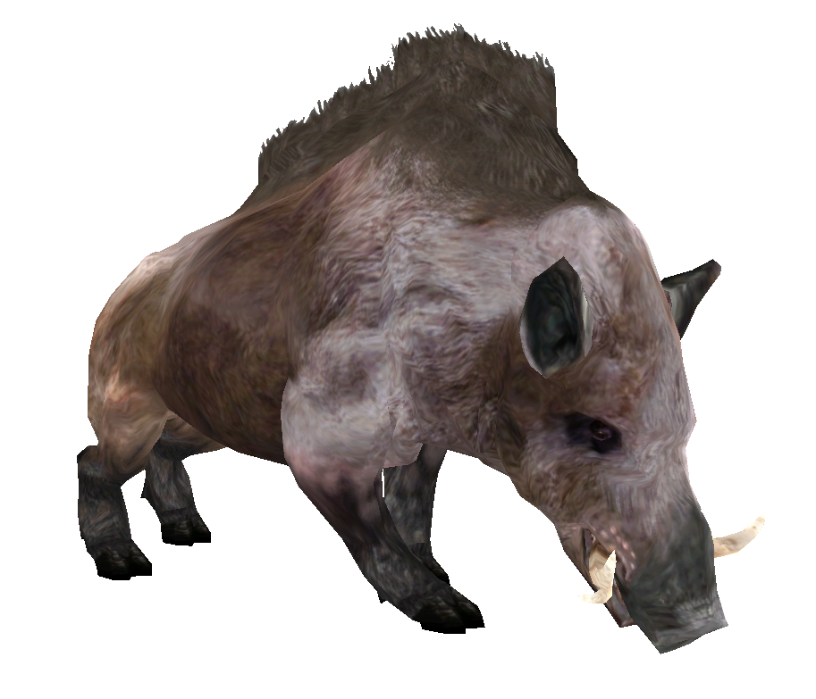 Beast_Oblivian_boar.png