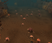 Turoth in dungeon