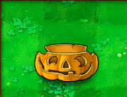 31Pumpkin