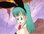 Bulma foto7