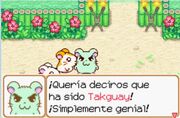 Takguay.jpg