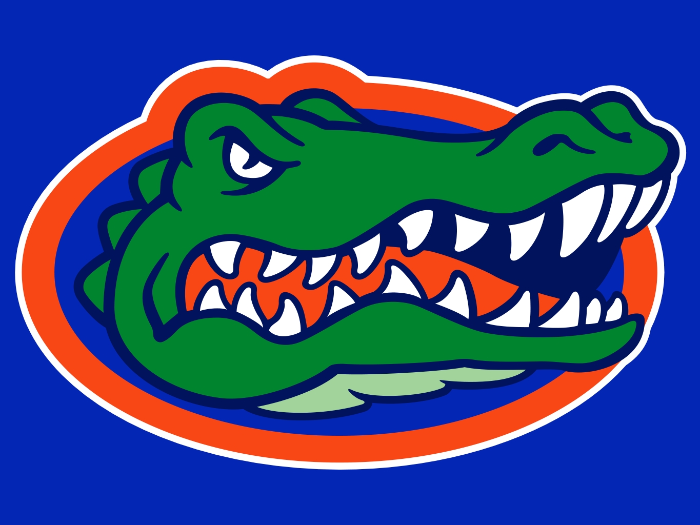 Florida Gators The Heart Of College Basketball In The Sunshine State