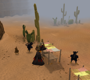 Building the colony