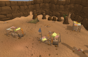 Monkey camp attacked