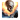 Ghost Rider Icon 1