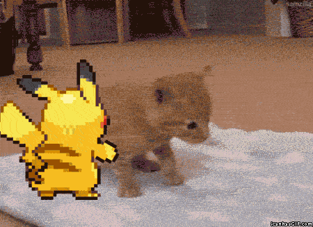 Funny-gif-Pikachu-pushing-cat-kitten.gif
