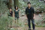 Download (10)