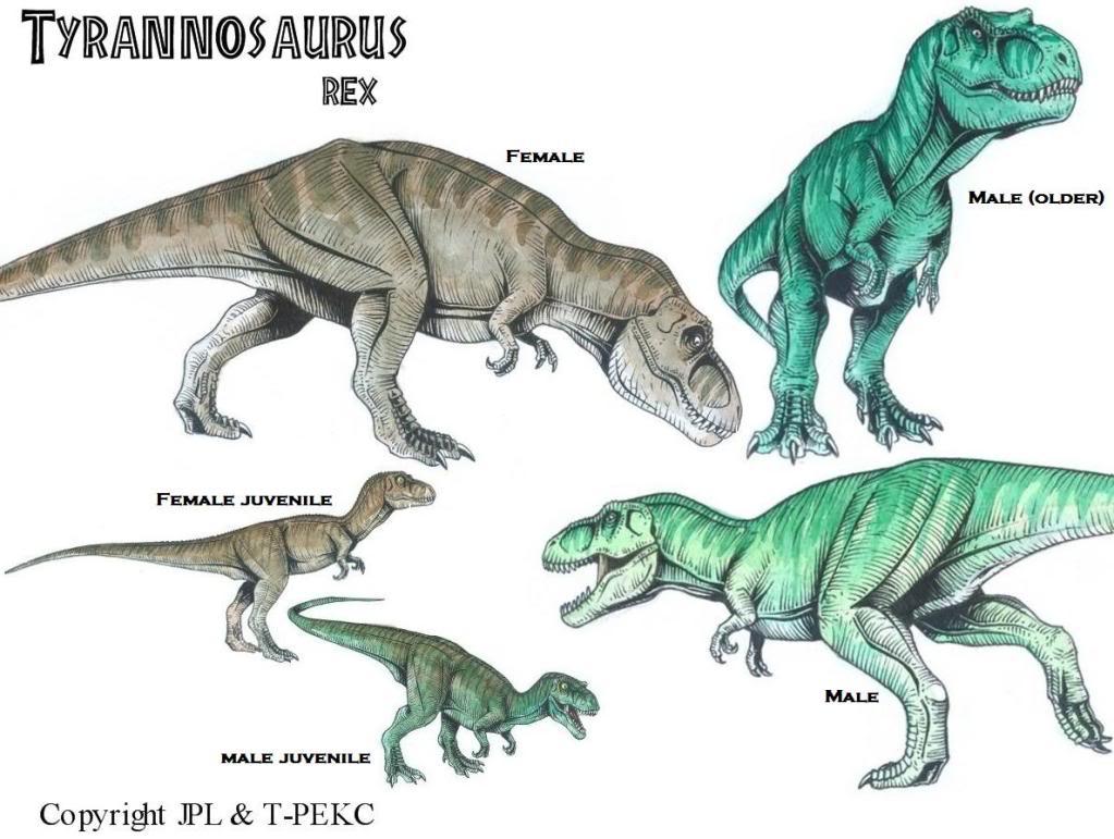 t rex dinosaur information