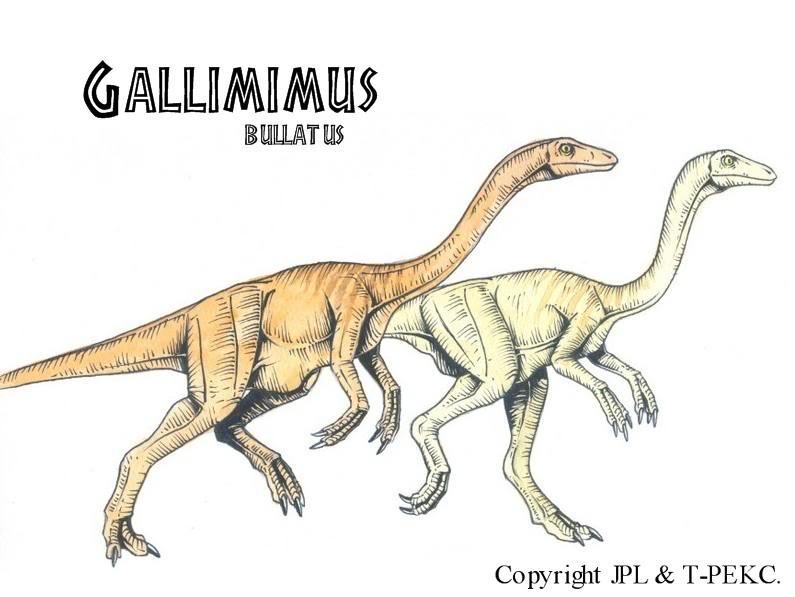 gallimimus velociraptor