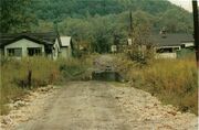 WillowFork