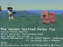 Pig