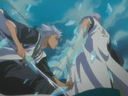 Gin Vs Toshiro
