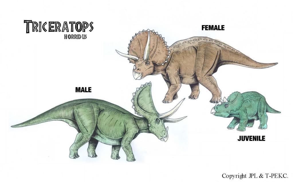 triceratops feet