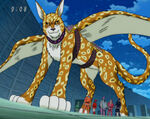 Rikky growth 1