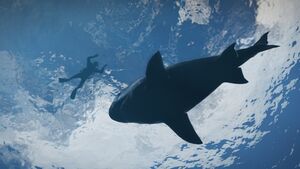 GTAV Hai
