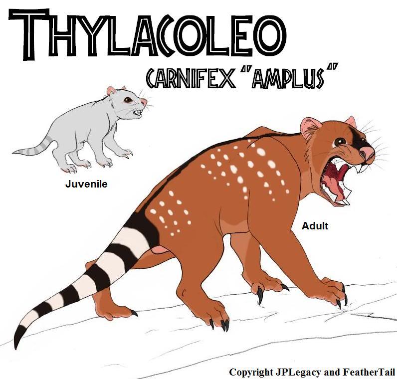Thylacoleo carnifex 'amplus' JPL Live the Legend Wiki