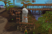 Scaffolding in progress
