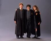 Potter 6