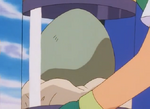 Larvitar Egg