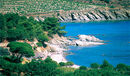 Costas Francia