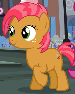 Babs Seed ID