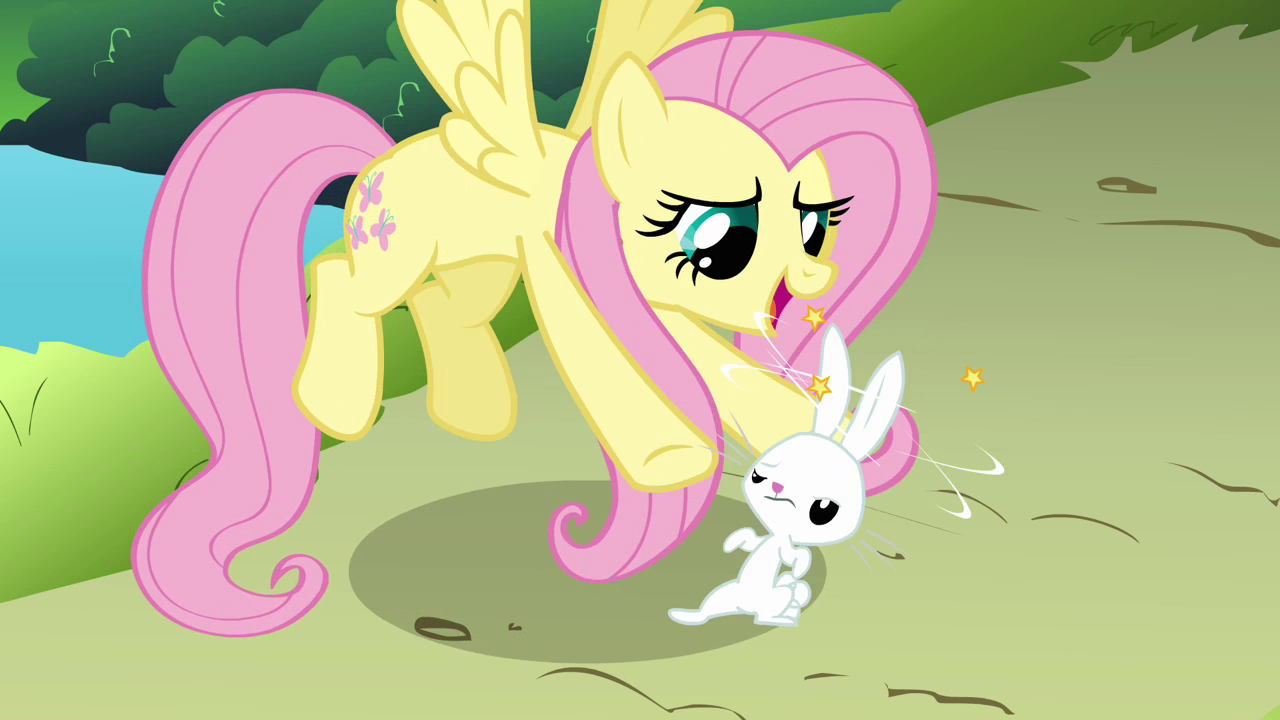  - Fluttershy_and_dizzy_Angel_S03E10