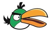 Boomerang Bird