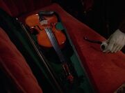 Violine