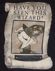 MLP - Have You Seen This Wizard