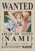 Nami1