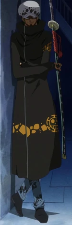 Trafalgar Law Timeskip Anime