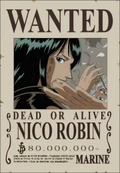 Robin1