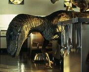 Jurasic-park-velociraptor-face