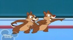 Chip and dale