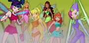 2x12-WinxJuntas.jpg